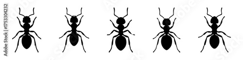 Ant silhouette icons set. Black ant vectors in various ants, insect symbol.