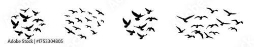 Flying birds silhouettes set. Minimal bird silhouettes, flight poses, tattoo and nature design.