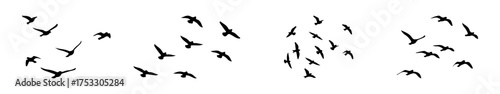 Flying birds silhouettes set. Minimal bird silhouettes, flight poses, tattoo and nature design.