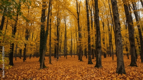 Autumn Forest Background with Golden Leaves