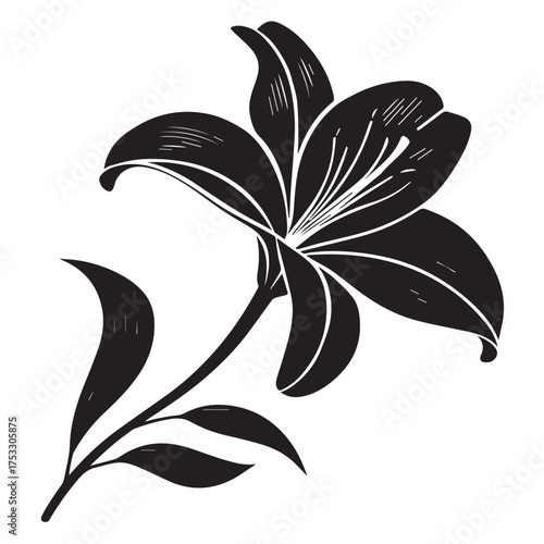 Striking monochrome lily blossom, elegant floral design element for sophisticated branding and invitations