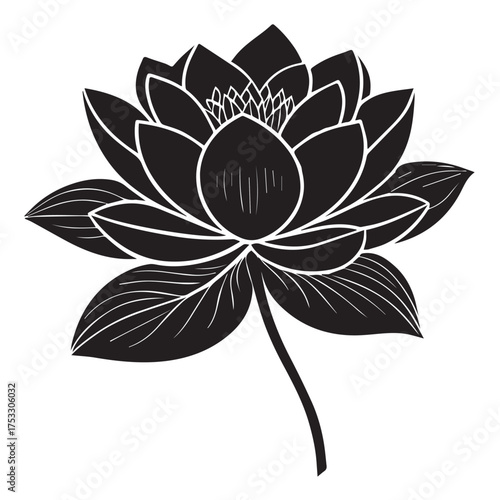 Elegant white line art of a lotus flower blooming in intricate detail, symbolic of purity