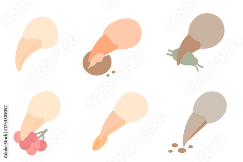 Bird Beak Foraging Icons. Isometric vector illustration set beak peck forage food: curved bird beak design, nut cracking action,