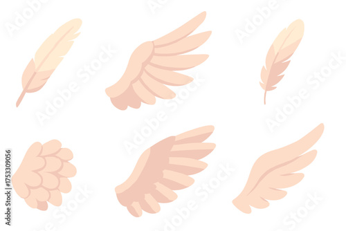 Flight Feathers Study. Isometric vector illustration set feather flight wing molt: molted broken feather, wing in flight pose,