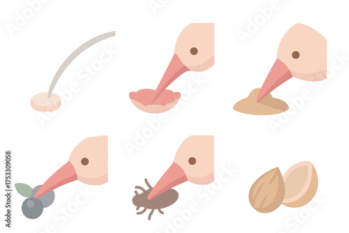 Foraging Birds Illustration. Isometric vector illustration set beak peck forage food: curved slender beak, nectar sip action, soil