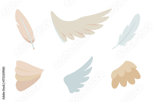 Flight Feathers Study. Isometric vector illustration set feather flight wing molt: molted broken feather, wing in flight pose,