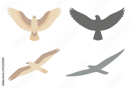 Soaring Hawk Silhouette. Isometric vector illustration set avian wing span soar: hawk wings open wide, feather arc arrangement,