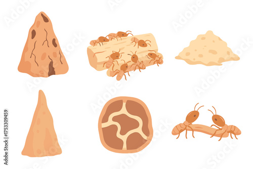 Collection of insects, including ants