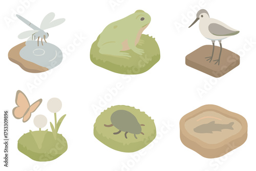 Peatland Wildlife Icons. Isometric vector illustration set Peatland wildlife: dragonfly over bog pool, frog on moss, wading bird