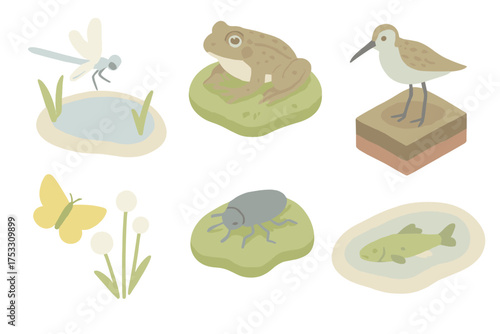 Peatland Wildlife Icons. Isometric vector illustration set Peatland wildlife: dragonfly over bog pool, frog on moss, wading bird