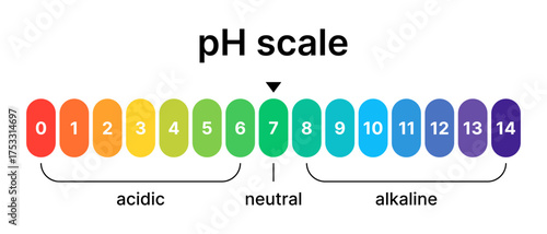 Ph acid and base balance scale. Value on the meter indicator. Design of a test for water, skin, and food using litmus paper.