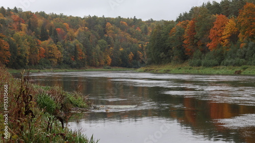 Beautiful autumn forest and calm river flow