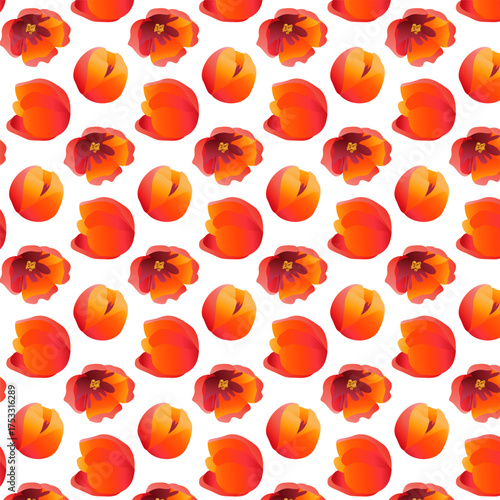 Semless pattern ackee flowers