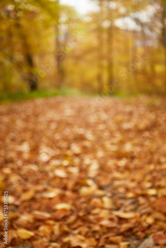 Blurred autumn forest path covered in colorful leaves in the late afternoon sunlight. Autumn hiking in Carpathian Mountains, Ukraine