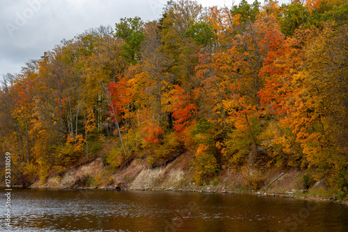 Golden autumn view in Koknese nature park, high coast of river in October in Koknese in Latvia