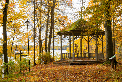 Golden autumn view in Koknese nature park in October in Koknese in Latvia