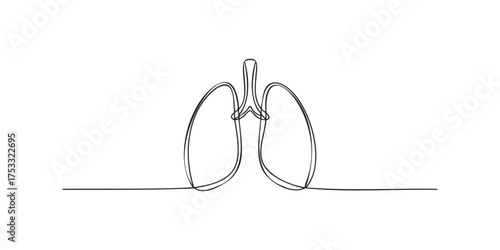 Continuous line drawing of human lungs