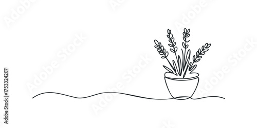 Single line drawing of a potted lavender plant