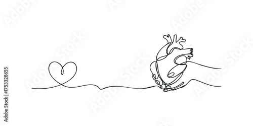 Hand holds anatomical heart with flowing line forming a heart shape