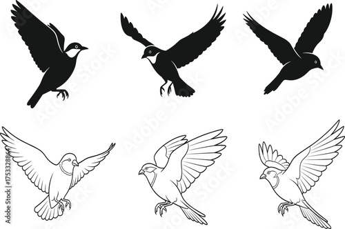 Black and White Flying Birds Vector Set - Silhouette and Outline Collection.