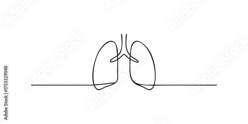 Continuous Line Drawing of Human Lungs