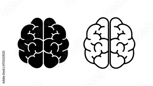 Brain anatomy outline with transparent background