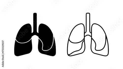 Human lungs anatomy with transparent background