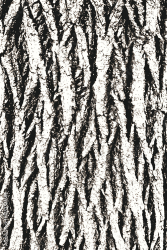 Tree bark texture with natural rough surface and dark details, ideal for nature backgrounds, organic design, or rustic decorative projects.