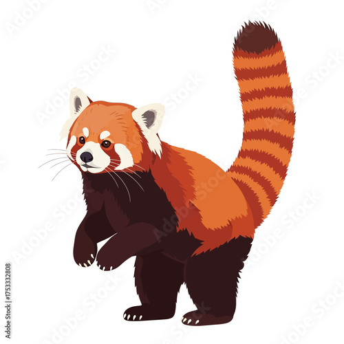 Cute Cartoon Red Panda Standing Upright on White Background