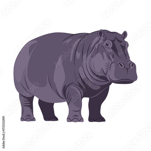 Isolated vector illustration of a hippopotamus on a white background