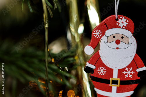 Close up of a charming Sant...