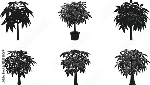 Pachira money tree silhouette collection, indoor plant vector design, tropical leaf art, nature foliage illustration, CAD drawing flat vector illustration