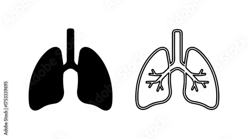 Human lungs outline and solid with transparent background