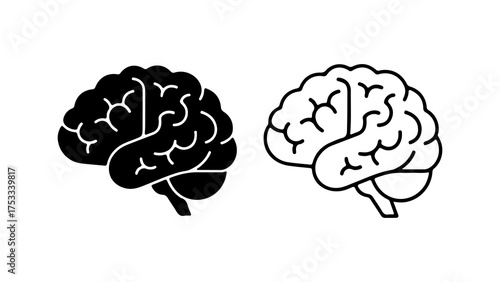 Brain anatomy outline with transparent background