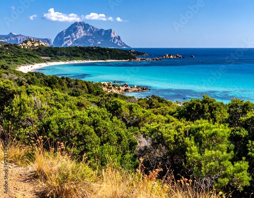 A scenic coastal view. Lush green foliage cascades to a white sandy beach, turquoise water meets a distant mountain