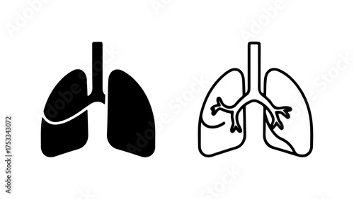 Human lungs anatomy outline with transparent background