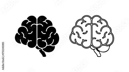 Brain anatomy outline and solid with transparent background