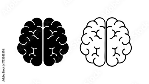 Brain anatomy outline with transparent background