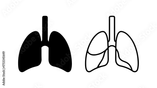 Human lungs outline with transparent background