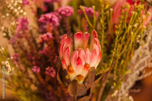 Vibrant Floral Arrangement Featuring Pink Protea and South African Fynbos 16699