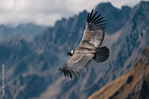Majestic bird of prey soars against the backdrop of rugged mountain peaks under a cloudy sky