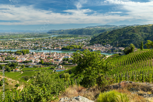 Rhone valley vineyard panorama with a French town