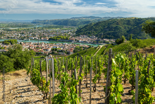 Cuadro en lienzo Crozes Hermitage vineyard overlooking Rhone river and Tain l'Hermitage