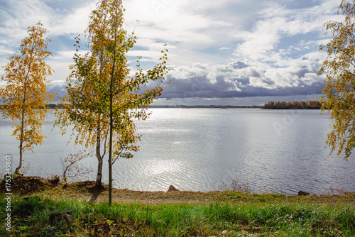 Autumn scenic view in Daugava nature walking trail in Aizkraukle in October in Latvia