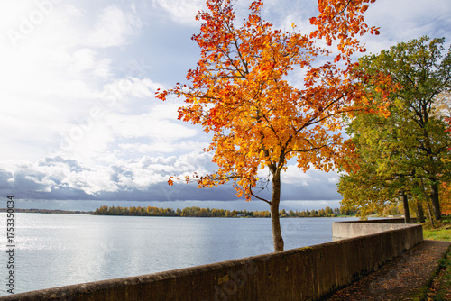Autumn scenic view in Daugava nature walking trail in Aizkraukle in October in Latvia