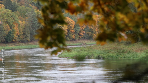 Calm river flow and autumn forest