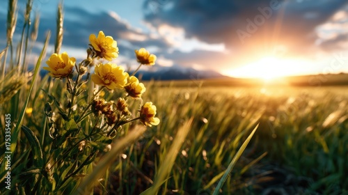Golden wildflowers bloom against a stunning sunset, creating a captivating scene that highlights the beauty of nature's transition from day to night in a picturesque landscape.