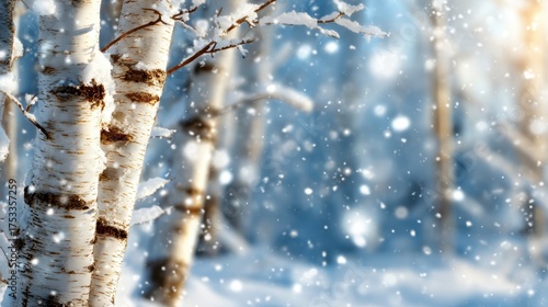 A serene winter landscape featuring majestic birch trees, softly blanketed with snow, illuminated by gentle light and surrounded by softly falling snowflakes, creating a tranquil ambiance.
