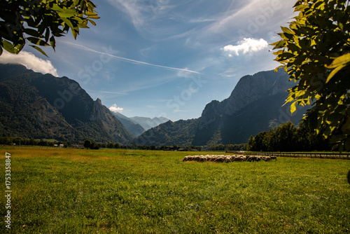 Schafherde am Fusse der Pyrenäen
