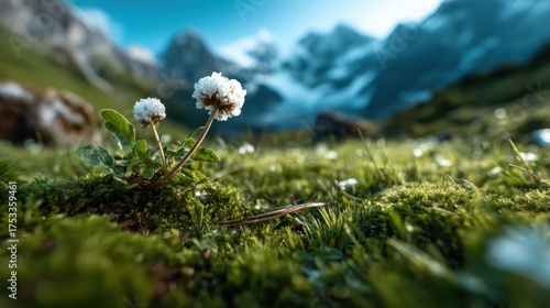 Two delicate white flowers rise above lush greenery, framed by majestic mountain ranges, emphasizing nature's beauty and resilience in an awe-inspiring landscape.